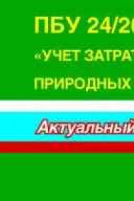 Медведев М.Ю. - ПБУ 24 Учет затрат на освоение природных ресурсов. Постатейные комментарии