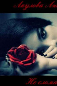 Обложка книги Не сломай...