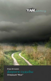 Игорь Ветошкин - Дороги судьбы