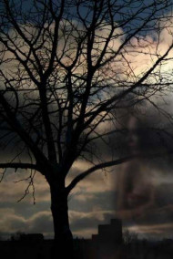 Обложка книги Звонок