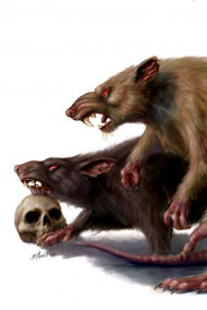 Бум-бум! Чарли идёт в поход!..