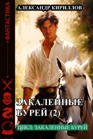 Обложка книги Закалённые бурей 2