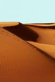 Обложка книги И имя ему Денница