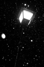 Отто Заубер - Из ранних моих рассказов 8.