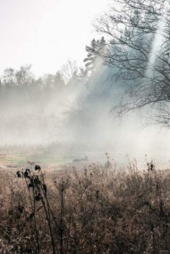 Обложка книги В туман