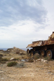 Обложка книги "За Родину!.."