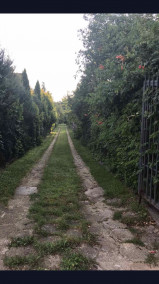 Обложка книги Твой путь.