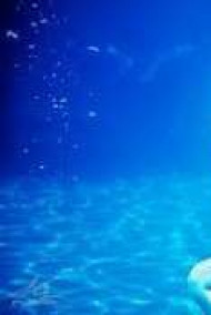 Обложка книги Остров Желаний