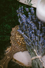 Александр Андреев - Самшитовый посох