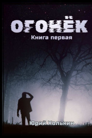Обложка книги Огонёк - Книга первая