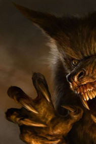 Обложка книги Волкулак