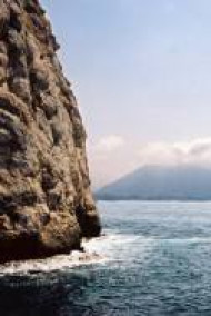 Обложка книги Скиталец. Начало пути