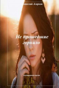 Обложка книги Не прошедшие горнило