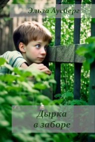 Обложка книги Дырка в заборе