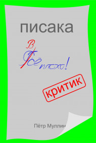 Пётр Муллин - Писака