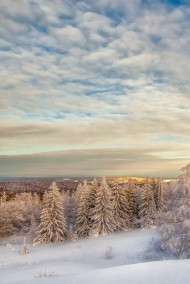 Обложка книги Зимняя ловушка