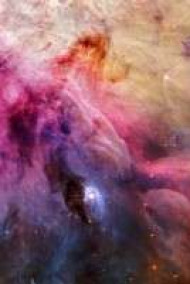 Обложка книги Обитель красоты