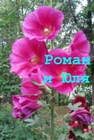 Обложка книги Роман и Юля