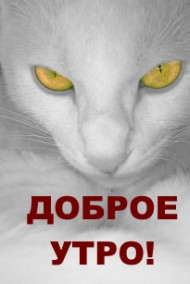 Обложка книги Доброе Утро!