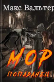 Обложка книги МОР. Попаданец