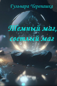 Обложка книги Темный маг, светлый маг