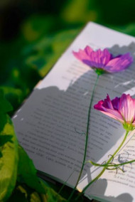 Madam N. - Вольная вставка в роман "Графиня Рудольштадт"