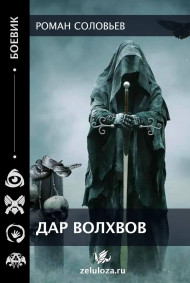 Роман Соловьев - Дар волхвов