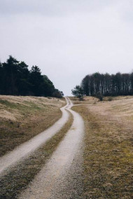 Обложка книги Жизни