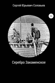 Обложка книги СЕРЕБРО ЗАКАМЕНСКОЕ