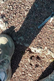 Потерянные ключи