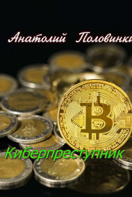 Анатолий Половинкин - Киберпреступник