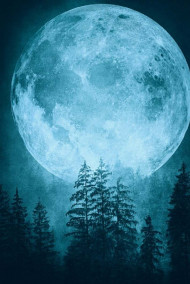 Обложка книги Мать