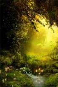 Наталья Шкуриндина - Тайна Лукоморья.