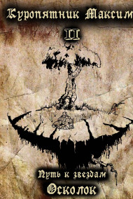 Путь к звездам. Книга 2. Осколок