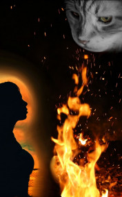 Обложка книги Встреча