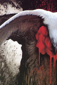 Принцесса-лебедь