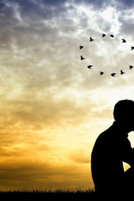 Обложка книги Подарок судьбы