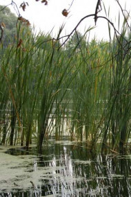 Обложка книги Такое, вот, кино...