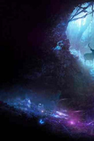 Обложка книги Виды ночи