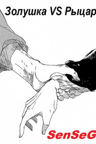 Обложка книги Золушка VS Рыцари
