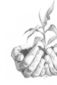 Обложка книги Чувство доброты.