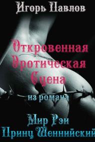 Обложка книги Мир Рэи. Принц Шеннийский (откровенная сцена)
