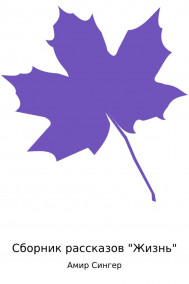 Амир Сингер - Сборник рассказов "Жизнь". Фрагмент 1