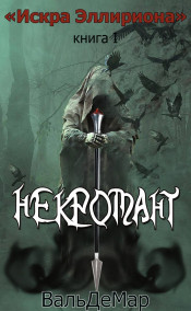 Обложка книги Искра Эллириона Книга I "Некромант"