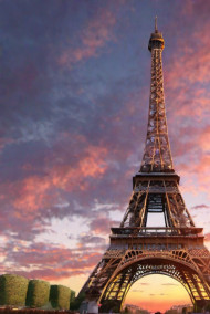 Обложка книги По следу тени