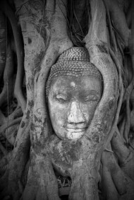 Обложка книги В плену у прошлого