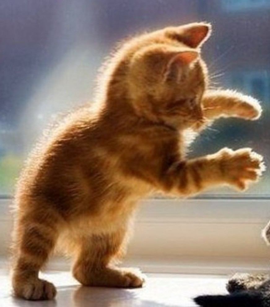 Лев Федорович Мышык