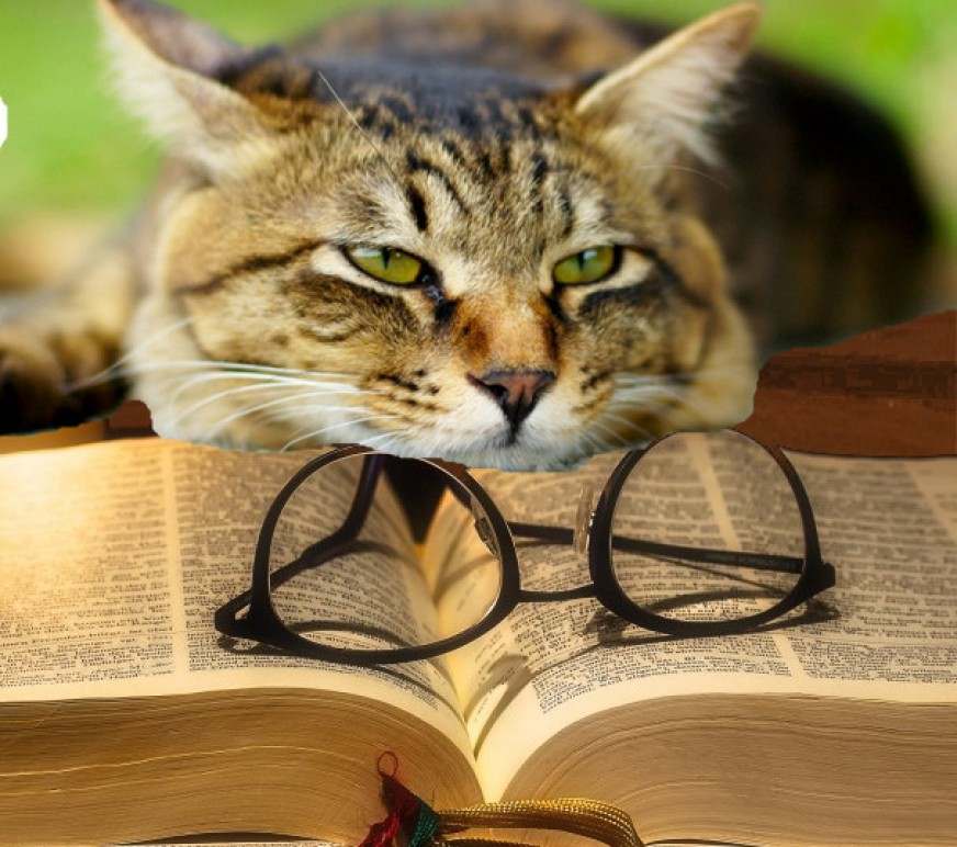 Александр Седых