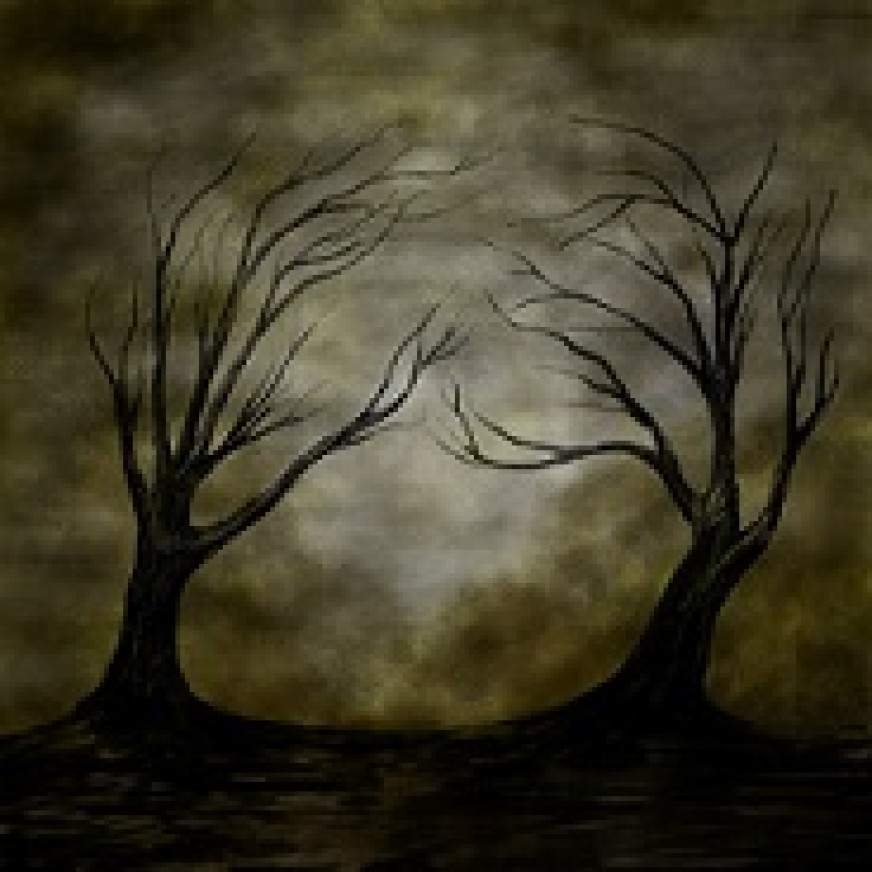 Дмитрий Расторгуев