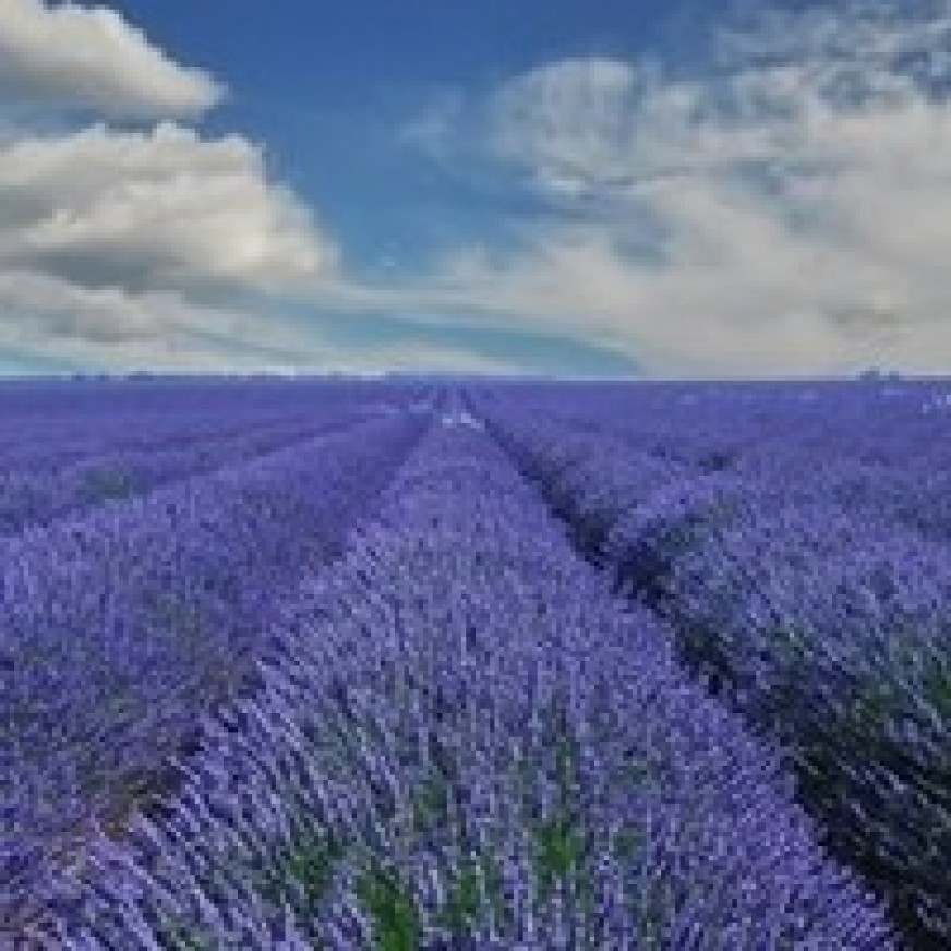 Диляра Исхакова